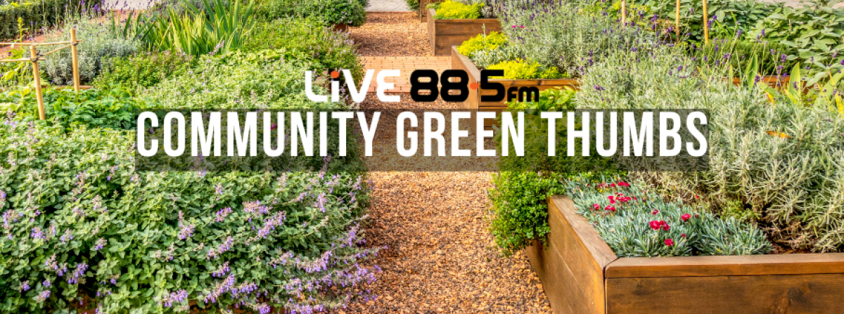 Community Green Thumbs 2025